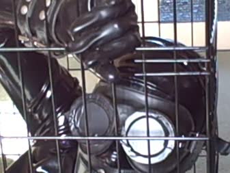 Karina Is Caged Gagged And Bound  Part 2 - This second part of the video picks up where part 1 ended - with karina locked into the dog cage wearing a rubber simon o dress with attached hood.
she is gagged with a leather gag that has two internal gum shields that fit over her teeth and silence her almost completely.  She is blindfolded with goggles.
the gag has a d ring at the front and this is used to clip her gag to the side of the cage.  To prevent her releasing herself her right wrist is clipped to  the top of the cage.  Her right ankle is also clipped to the top of the cage and then she is teased and tormented with cane and crop.
she quickly learns to obey her captor's instructions.
the price of this clip is reduced by 33% as the sun made clear videography challenging.