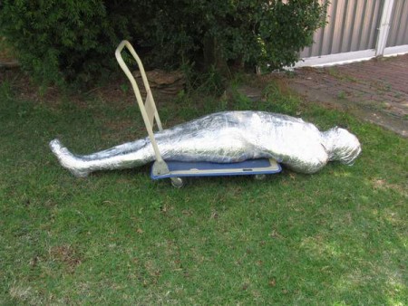 My Fetish Cam - Mummified With Foil My Fetish Cam - Mummified With Foil