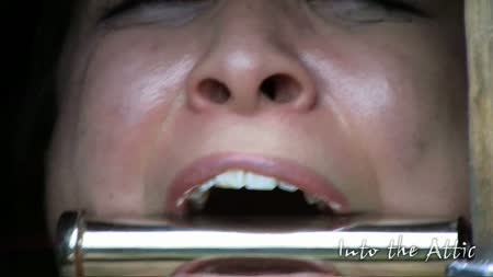 Into The Attic - Meis Electro Shock Therapy Inside A Cage Into The Attic - Meis Electro Shock Therapy Inside A Cage