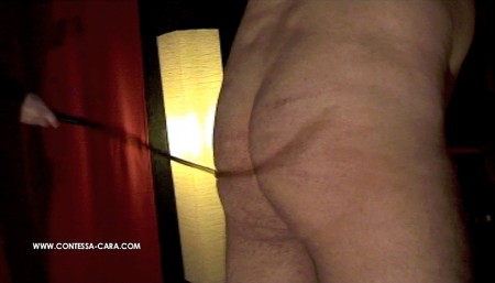 CONTESSA CARA German Femdom - Bullwhip Adventures CONTESSA CARA German Femdom - Bullwhip Adventures