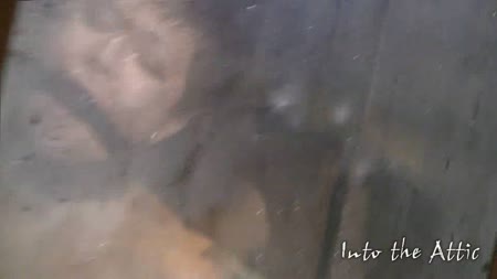 Degrading Enemas - Meis Enema Release In A Waterproof Cage Degrading Enemas - Meis Enema Release In A Waterproof Cage