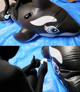 WSM - Breath control - - Into An Inflatable Orca WSM - Breath control - - Into An Inflatable Orca