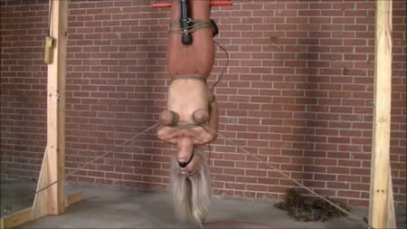 BrendasBound Bondage And Orgasm Store - Please No More BrendasBound Bondage And Orgasm Store - Please No More