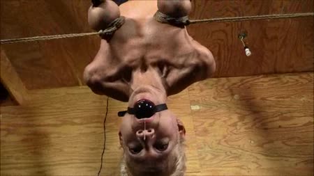 BrendasBound Bondage And Orgasm Store - Wide Open BrendasBound Bondage And Orgasm Store - Wide Open